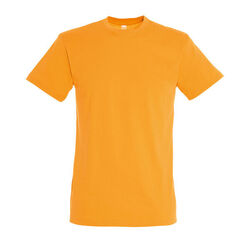 T-SHIRT MC H REGENT Voiron